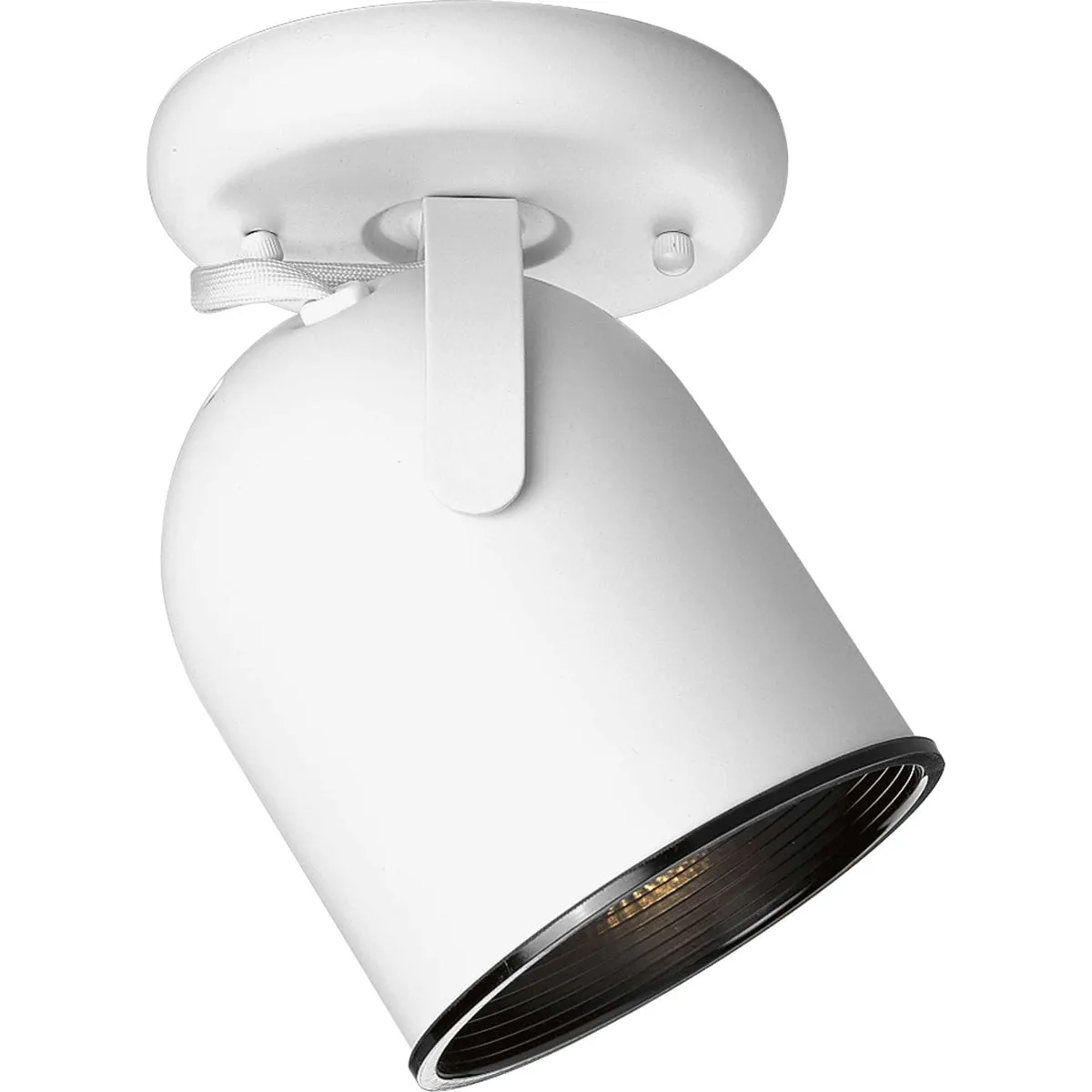 1-Light Multi-Directional Roundback Wall/Ceiling Fixture