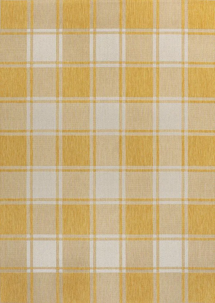 Acrylic Traditional Farmhouse Bold Gingham Indoor/Outdoor Area Rug