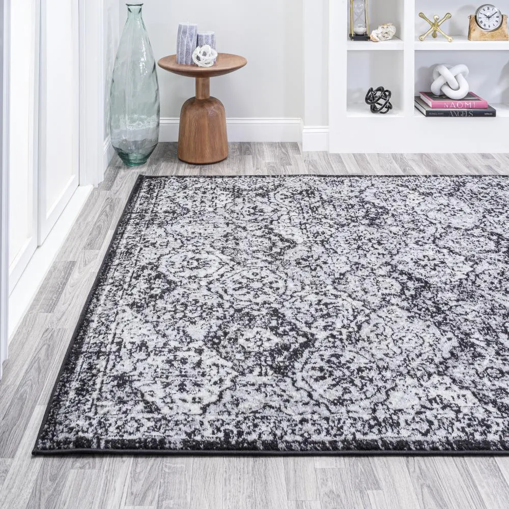 Austin Modern Persian Boho Vintage Area Rug