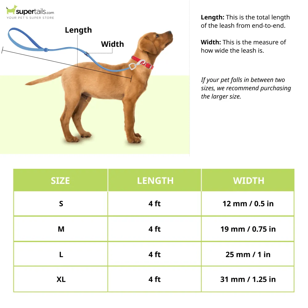 Basil Printed Leash , Aeolus Super Dry Absorption Towels and Dogsee Veda Odour Control Tea Tree Shampoo for Dogs Combo