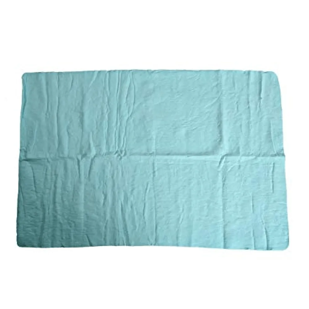Basil Printed Leash , Aeolus Super Dry Absorption Towels and Dogsee Veda Odour Control Tea Tree Shampoo for Dogs Combo