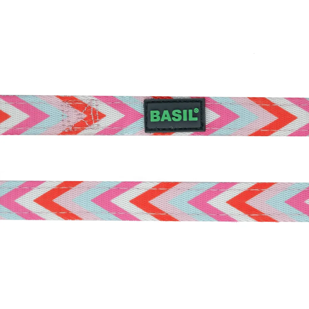 Basil Printed Leash , Aeolus Super Dry Absorption Towels and Dogsee Veda Odour Control Tea Tree Shampoo for Dogs Combo