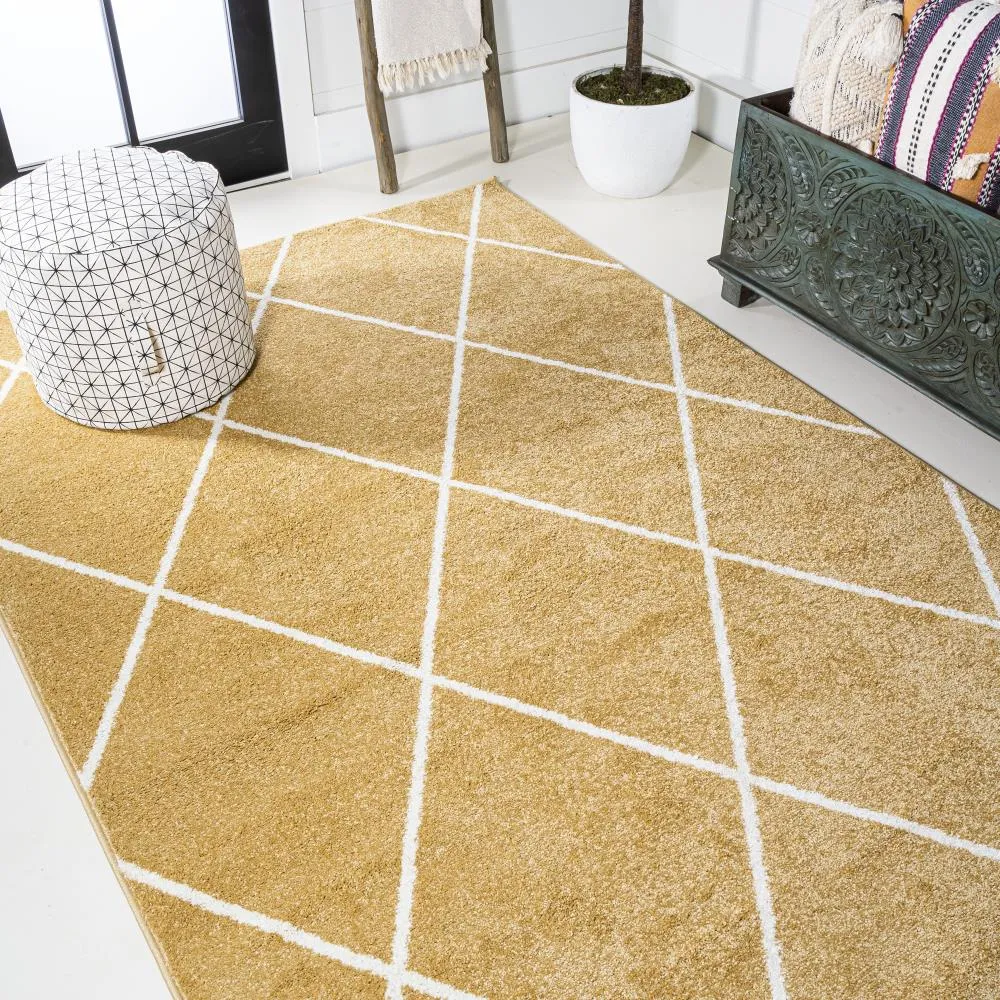 Bounty Minimalist Diamond Trellis Area Rug