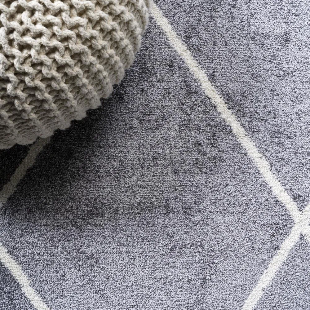 Bounty Minimalist Diamond Trellis Area Rug
