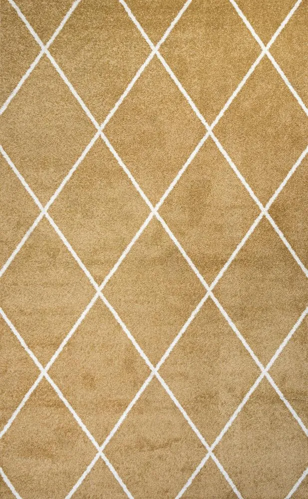 Bounty Minimalist Diamond Trellis Area Rug