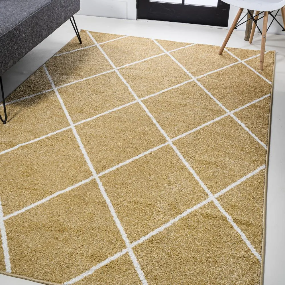 Bounty Minimalist Diamond Trellis Area Rug