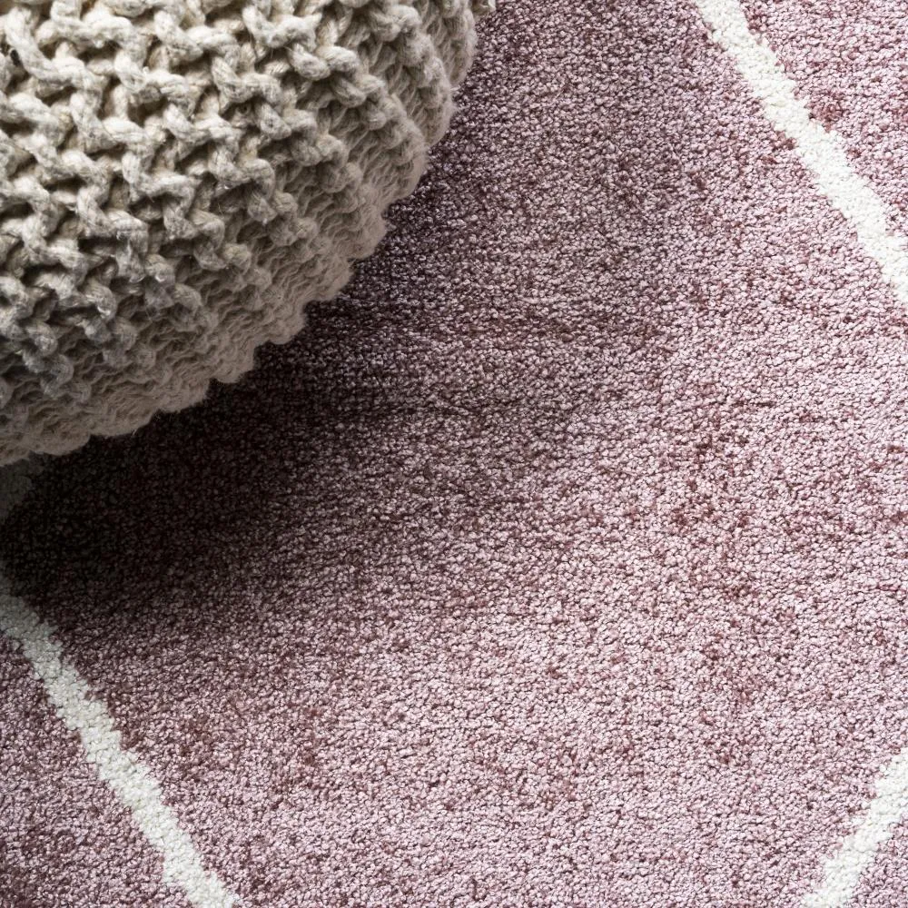 Bounty Minimalist Diamond Trellis Area Rug