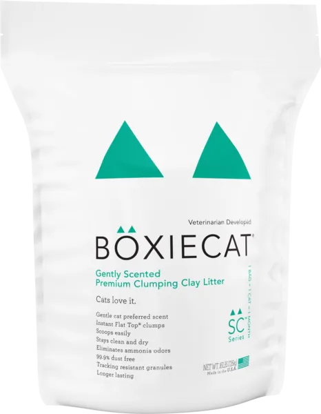 Boxiecat Gently Scented Premium Clumping Clay Cat Litter