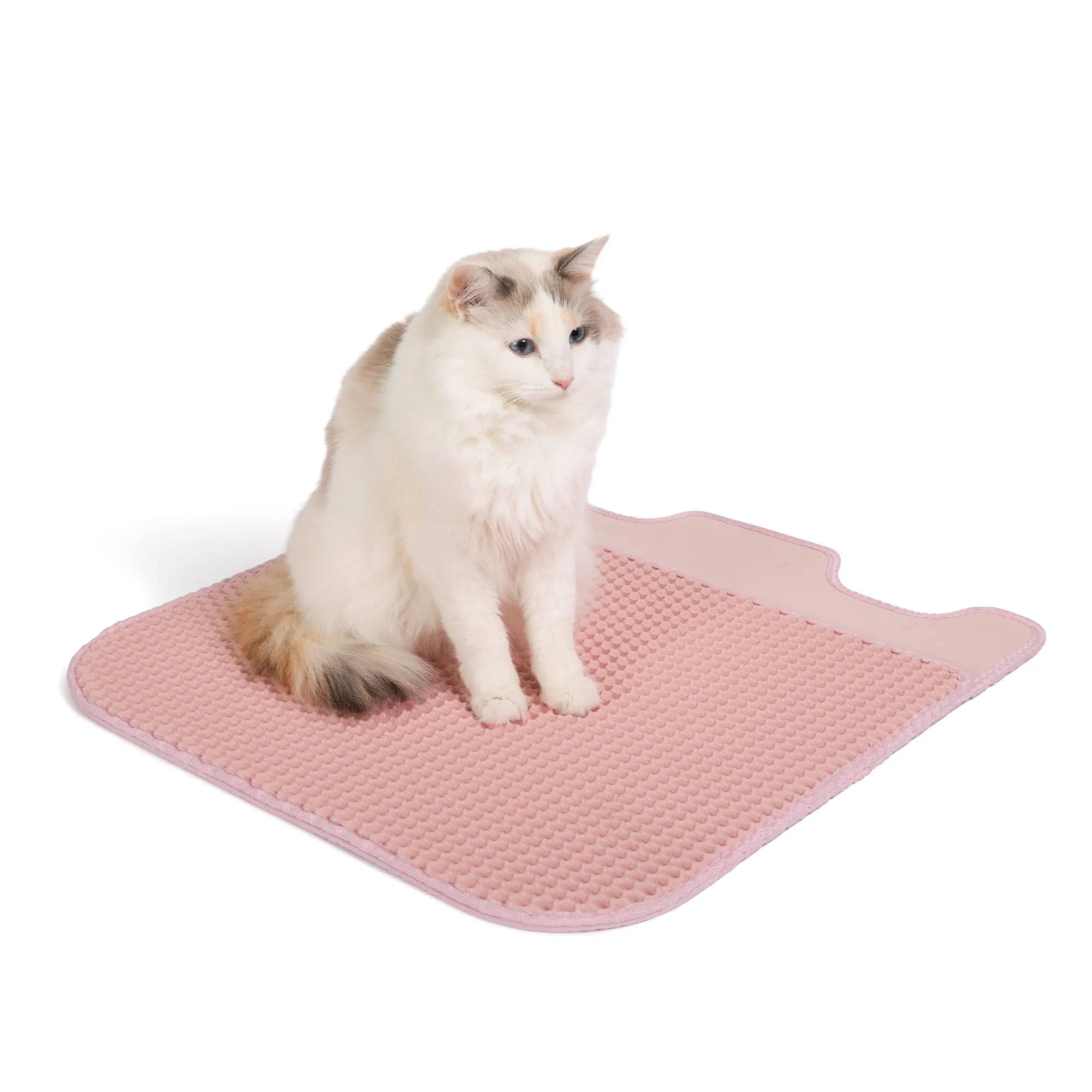 Color-matched Litter Mat