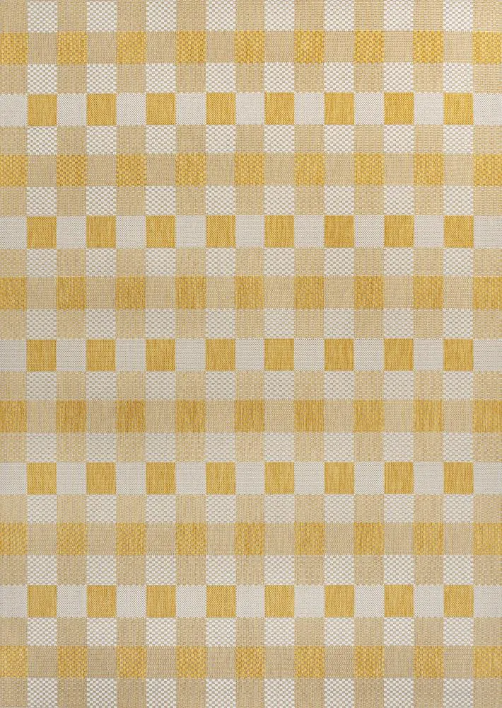 Courtyard Traditional Geometric Bold Gingham Indoor/Outdoor Area Rug