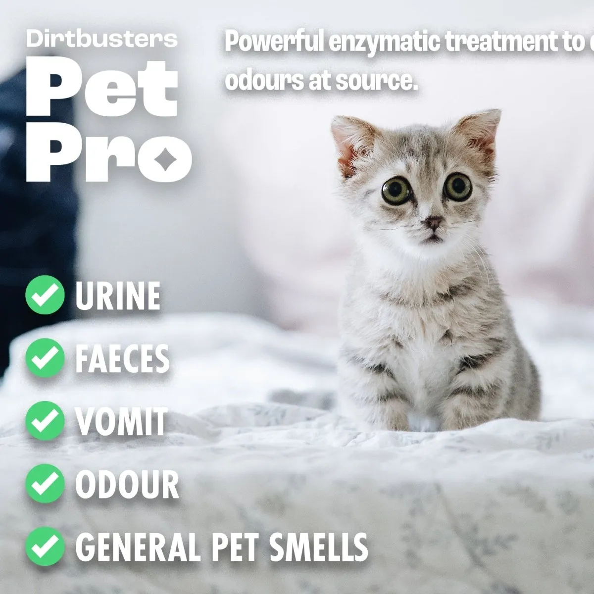 Dirtbusters Pet Pro Cat Stain & Pet Odour Eliminator Spray, Powerful Cat Urine Enzyme Cleaner Use to Clean Pet Stain and Odour Remover, for Carpet, Fabric & Upholstery, Summer Fruits (500ml)