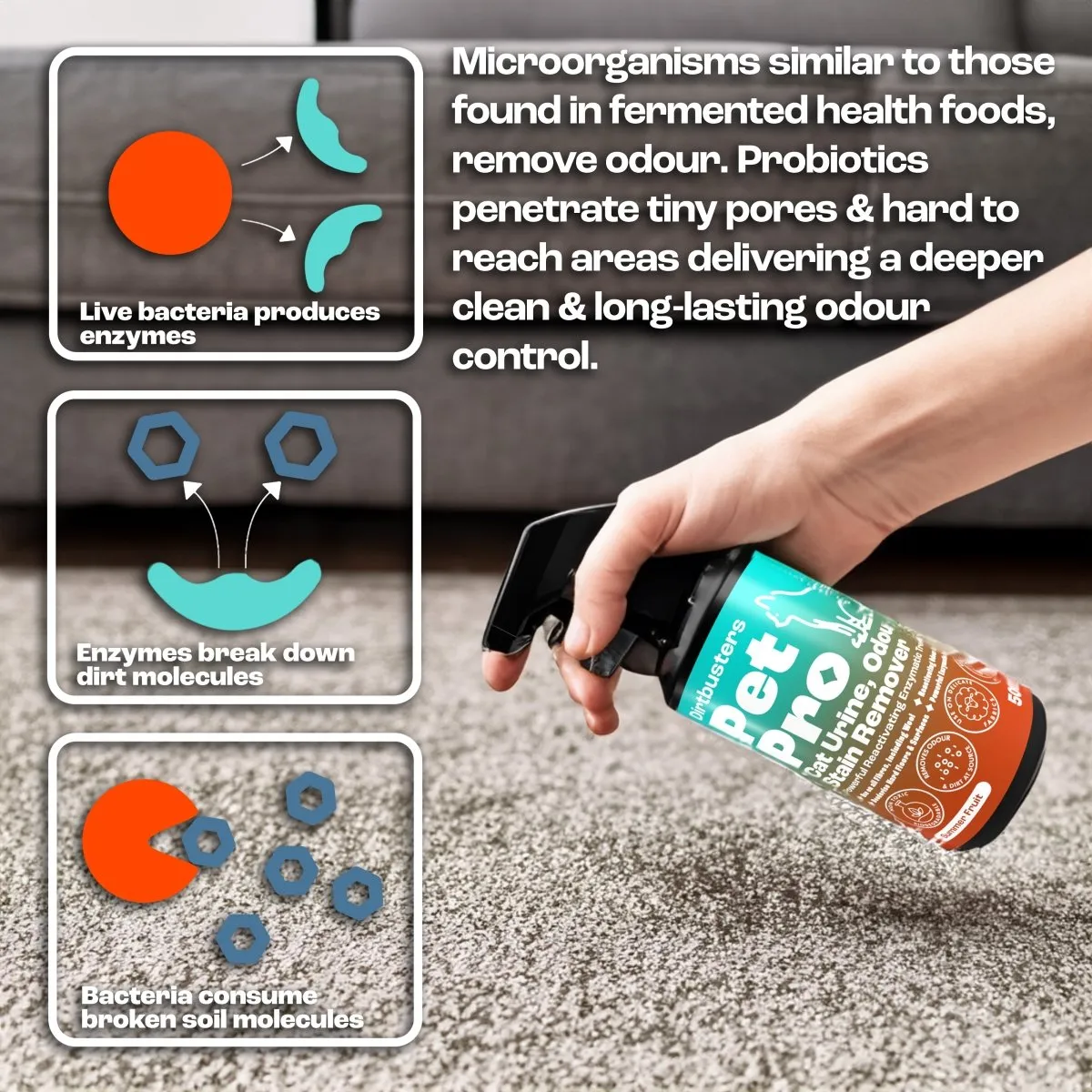 Dirtbusters Pet Pro Cat Stain & Pet Odour Eliminator Spray, Powerful Cat Urine Enzyme Cleaner Use to Clean Pet Stain and Odour Remover, for Carpet, Fabric & Upholstery, Summer Fruits (500ml)