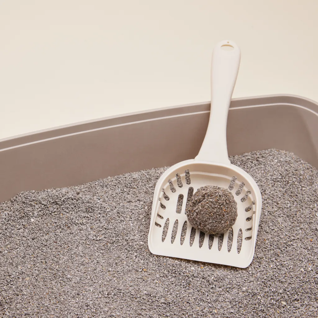 Extra Strength Lightweight Clumping Clay Litter from Boxiecat