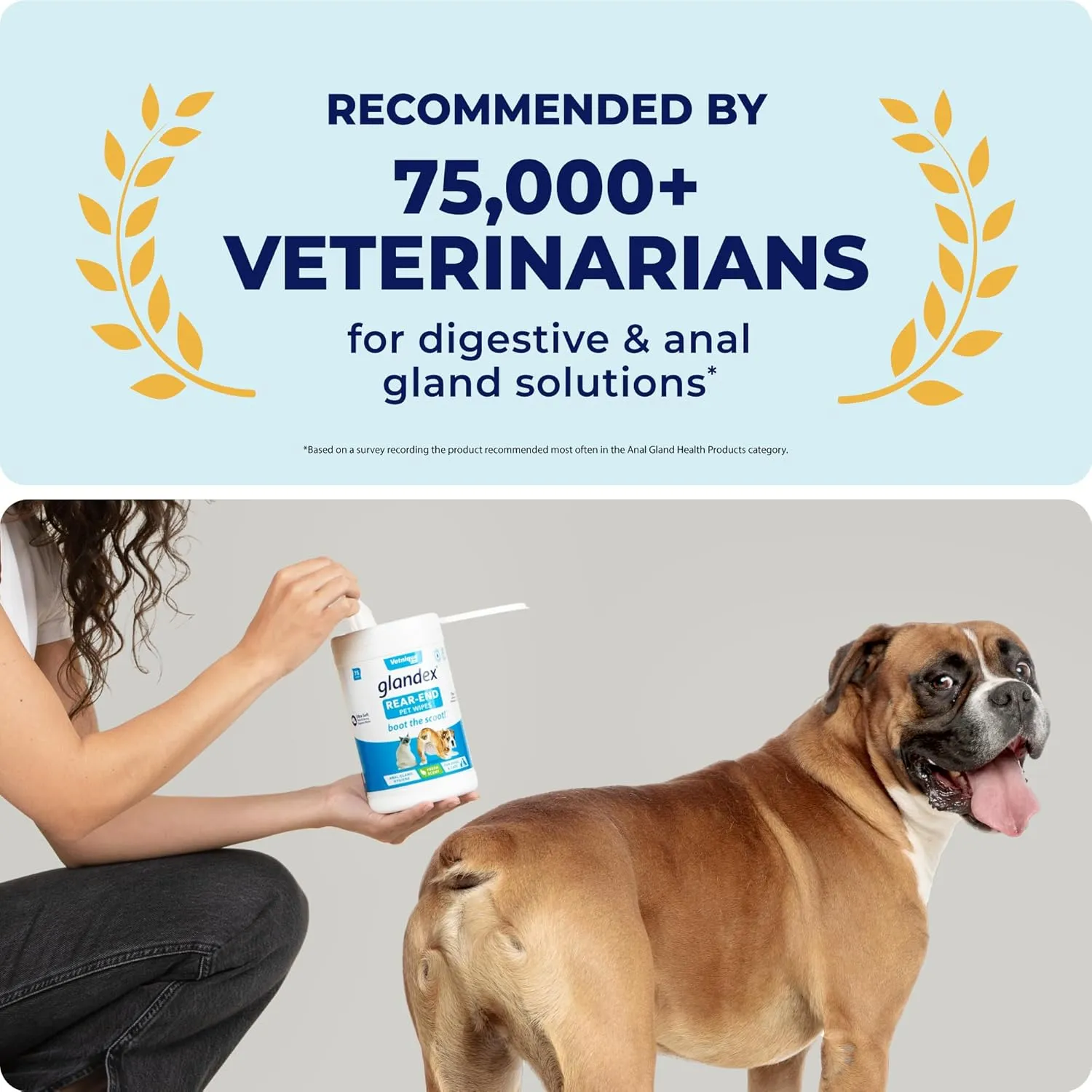Glandex Dog Wipes for Pets Cleansing & Deodorizing Anal Gland Hygienic Dog & Cat Wipes with Vitamin E, Skin Conditioners and Aloe (100Ct Pouch)