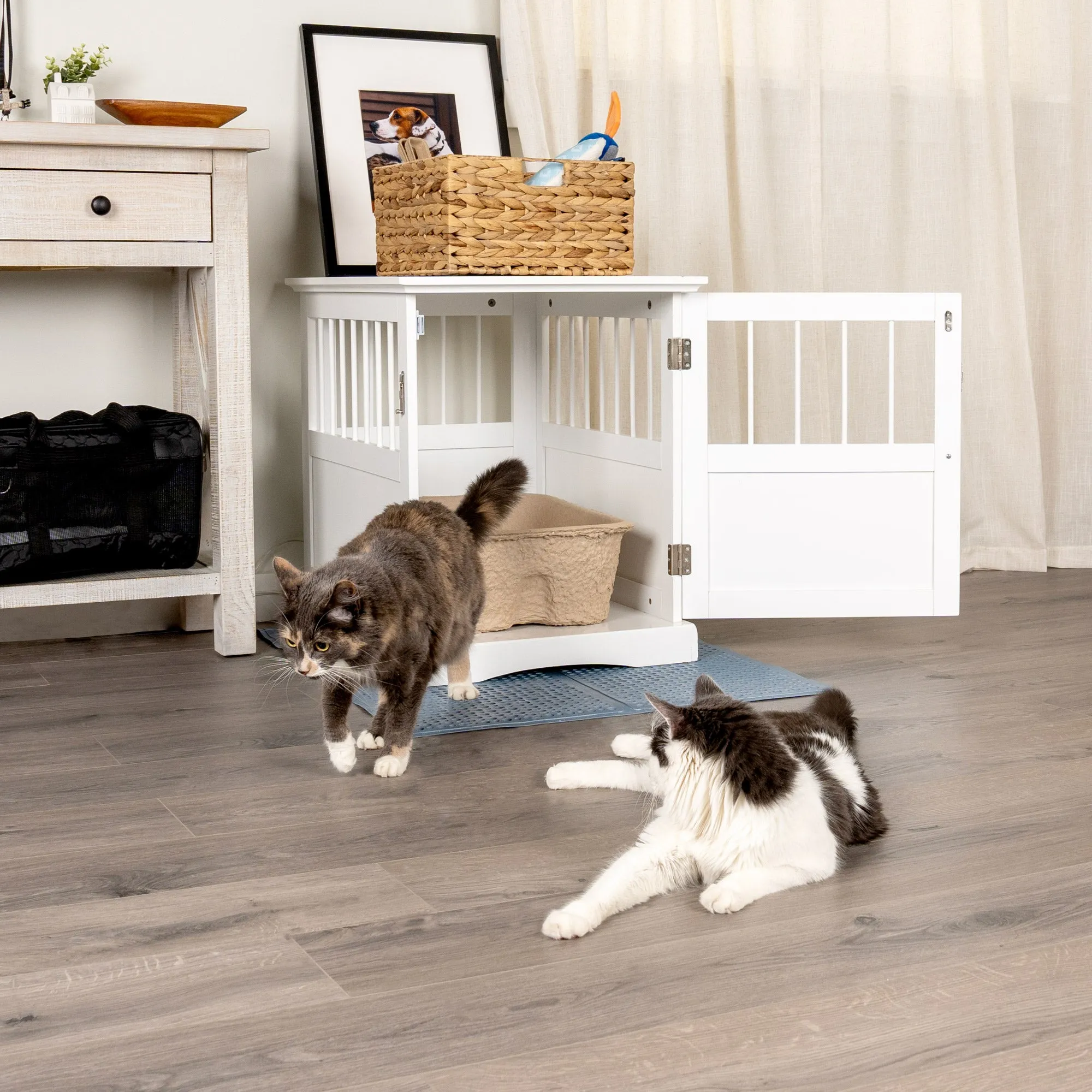 Kitty Sift Deluxe Disposable Litter Box, Jumbo, 2-Pack