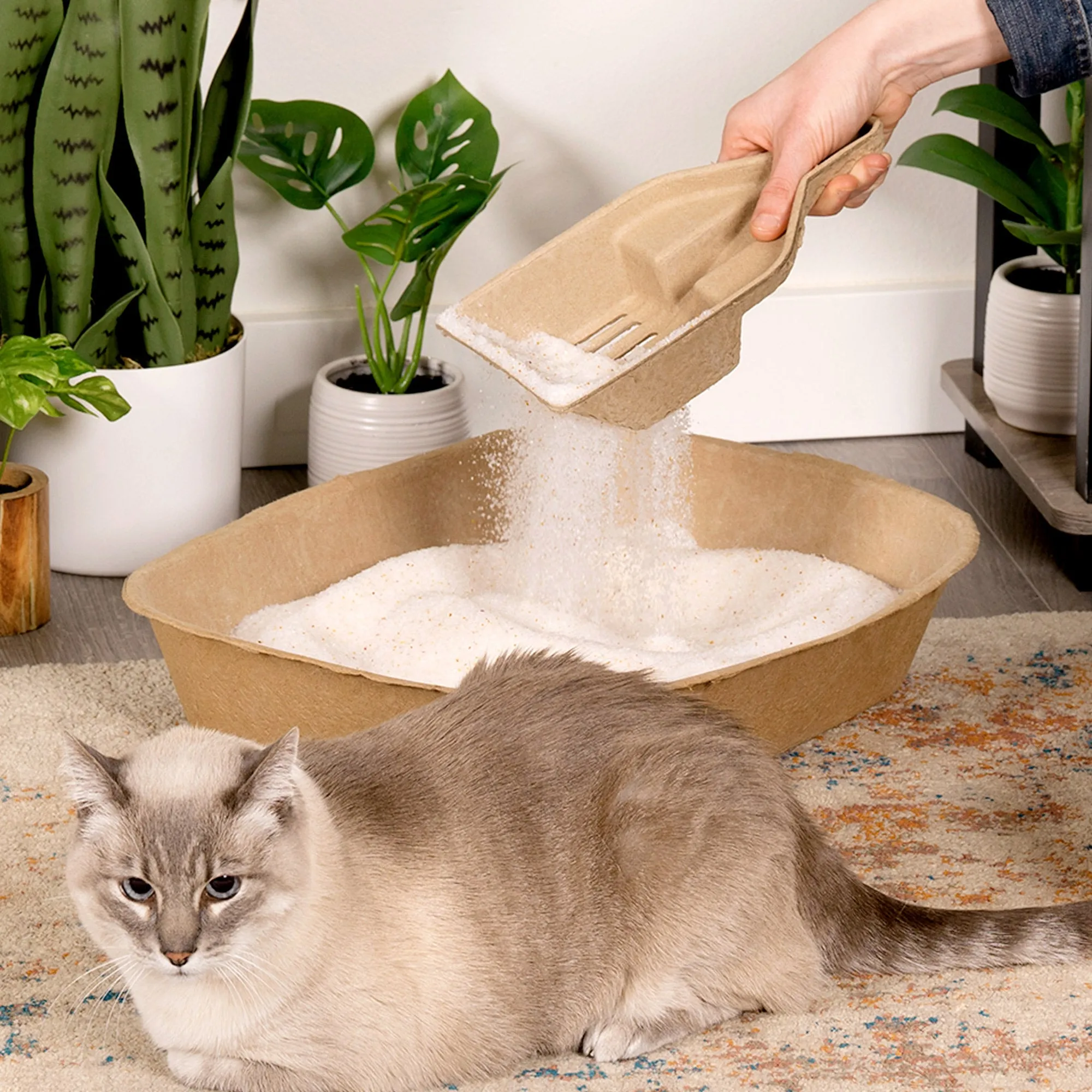 Kitty Sift Eco-Friendly Disposable Litter Scoop