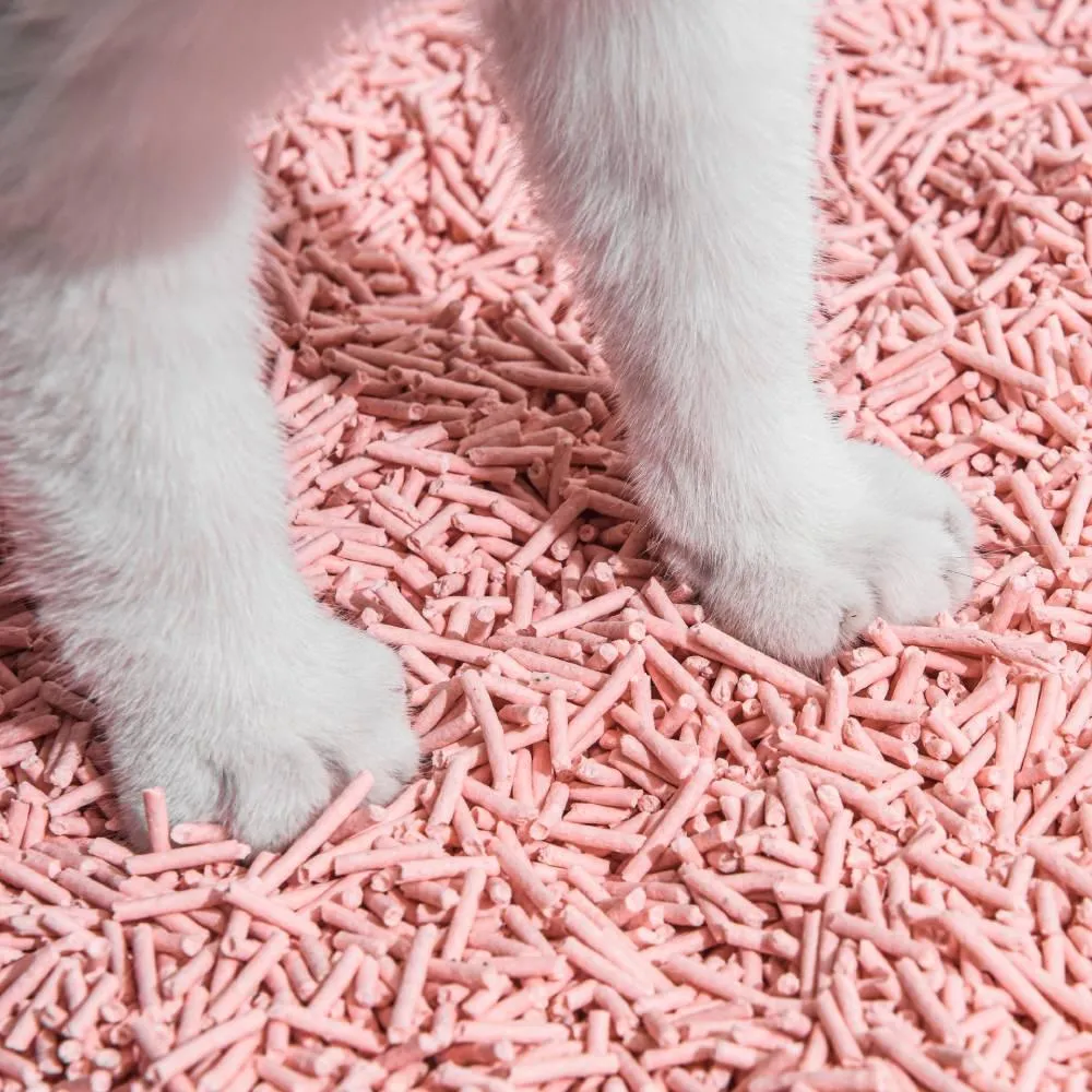 Michu Tofu Cat Litter Gen3 6L- Dust-Free and Natural Clumping Tofu-Based Formula for Easy Cleanup