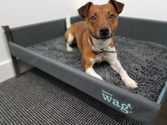 Microfibre Noodle Pet Mat