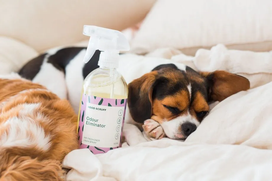 Odour Eliminator