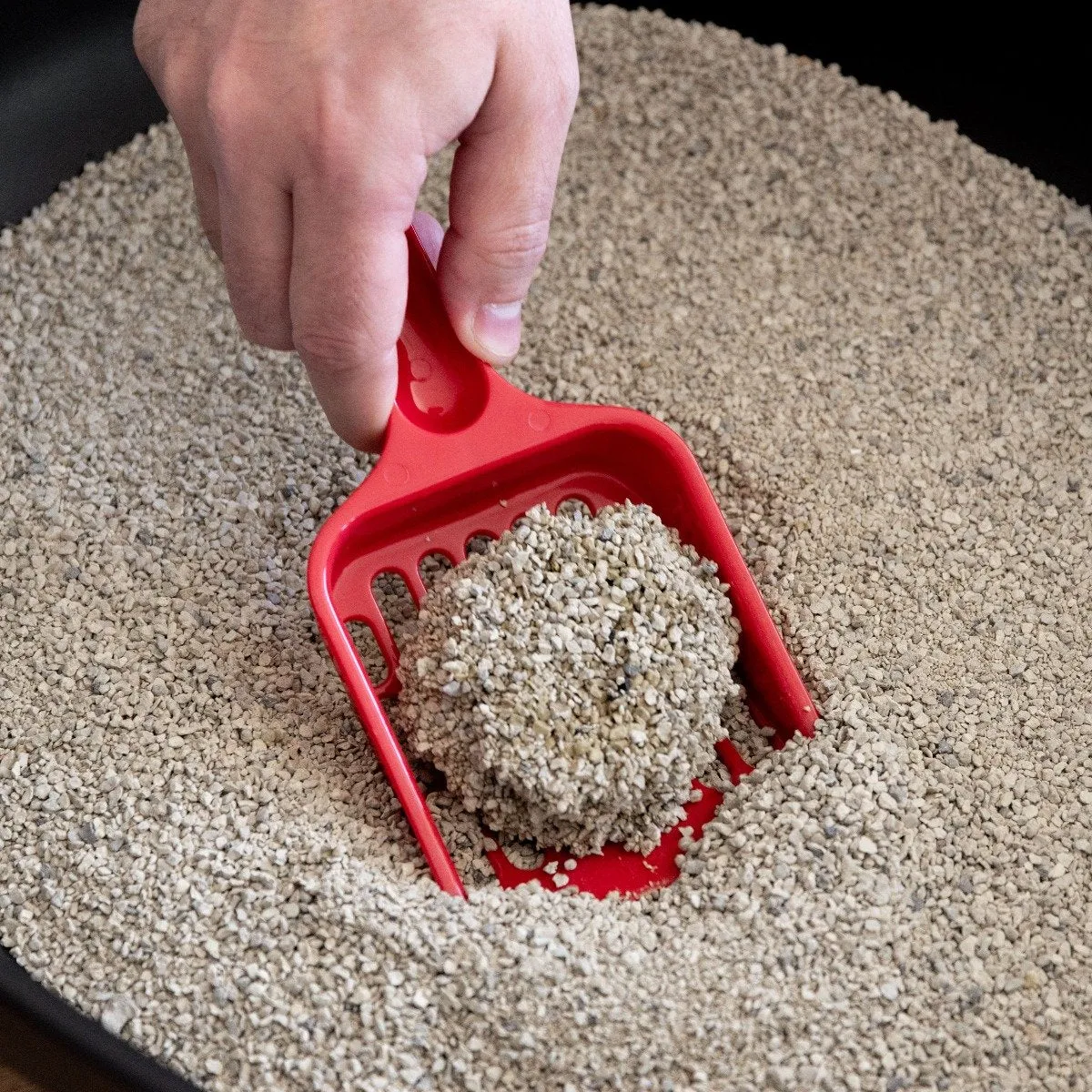 Open-Top Cat Litter Oval Pan