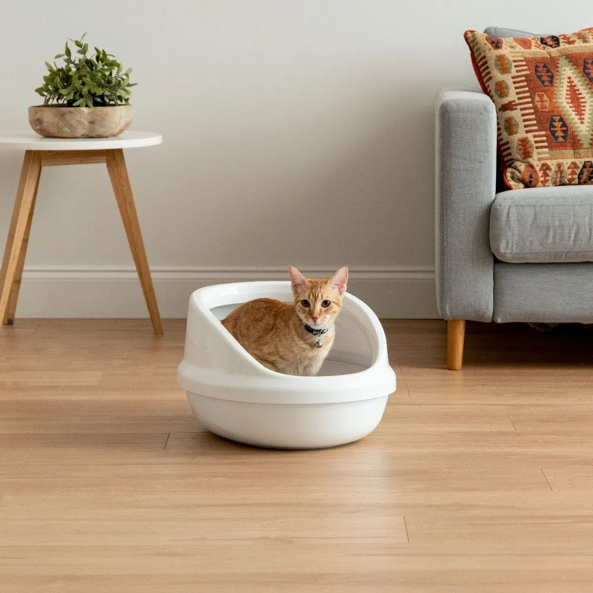 Open-Top Cat Litter Oval Pan