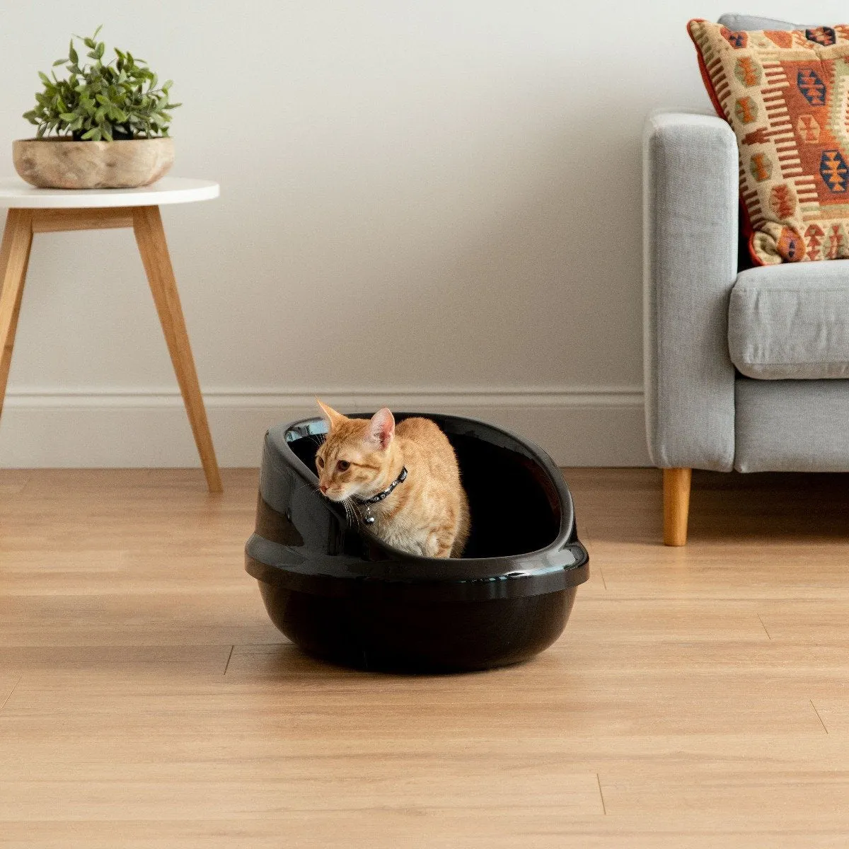 Open-Top Cat Litter Oval Pan