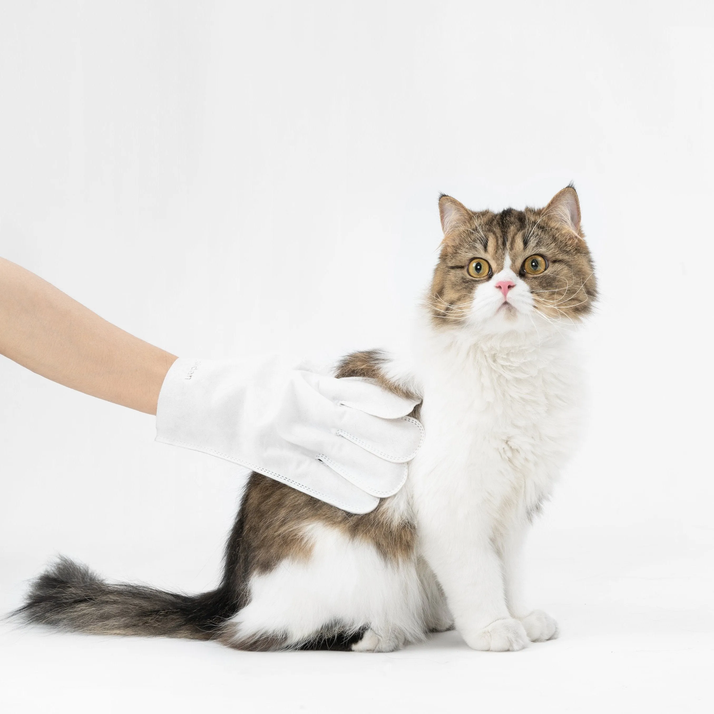 Pidan Body Cleaning Glove Wipes For Cats & Dogs 6pc