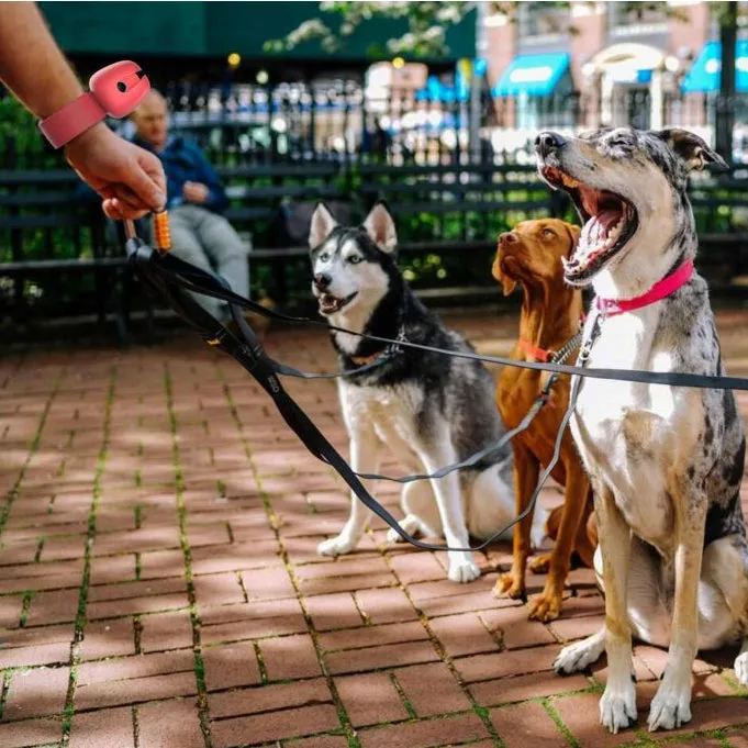 Poopo Dog Poop Bag Holder - Convenient and Stylish Solution for Pet Waste Disposal