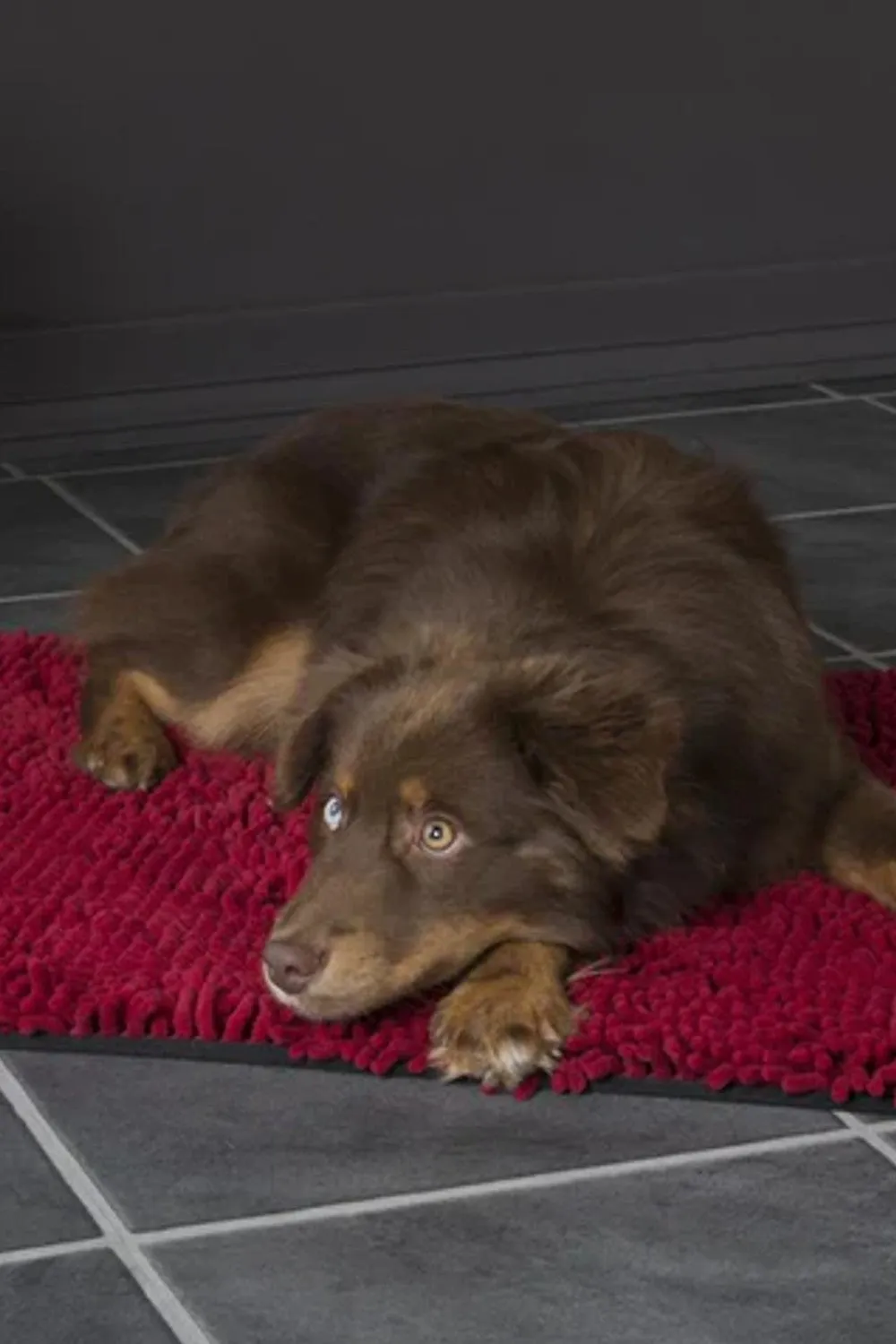 Scruffs Noodle Dry Mat