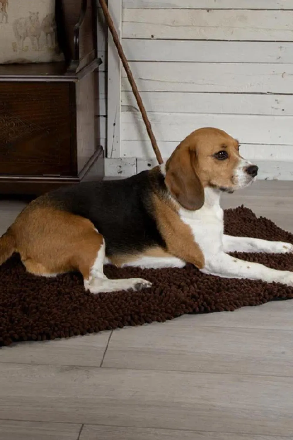 Scruffs Noodle Dry Mat