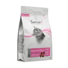 Sense6 Kitten - Optimal Start