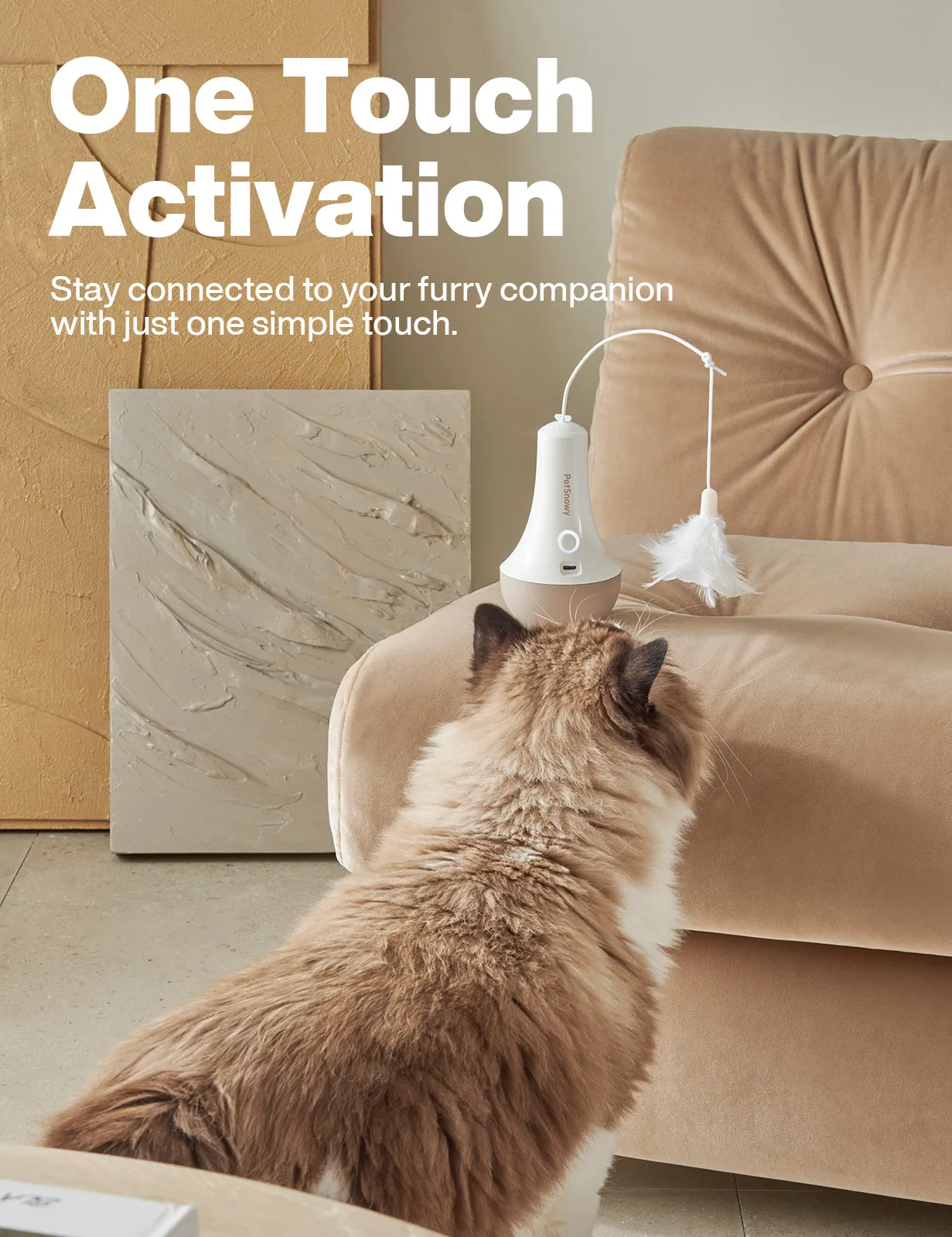 SNOW  Deluxe Cat Care Bundle