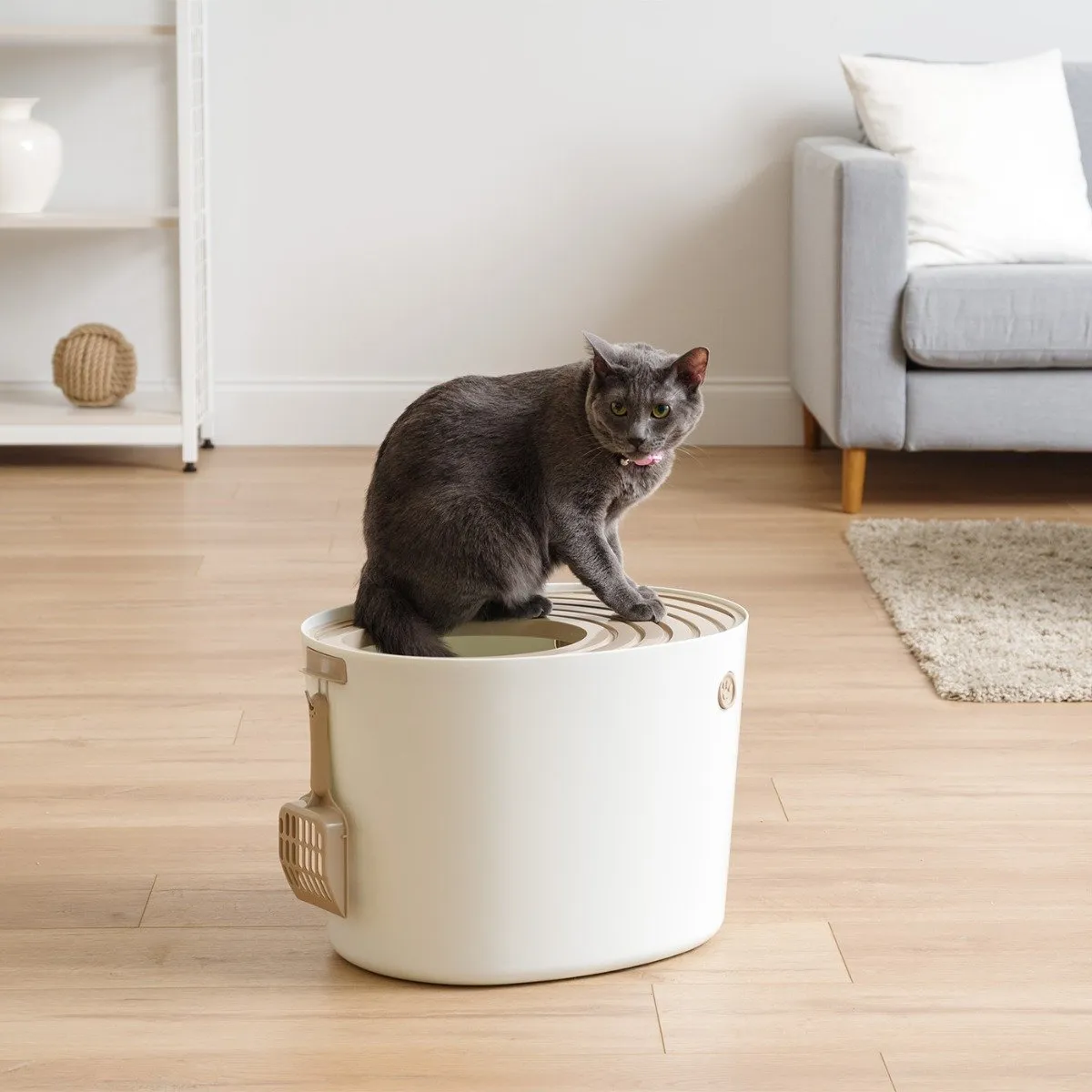 Top Entry Cat Litter Pan - Medium