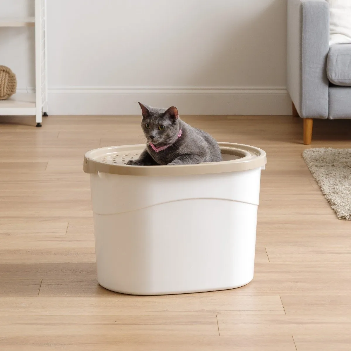 Top Entry Cat Litter Pan with Perforated Lid