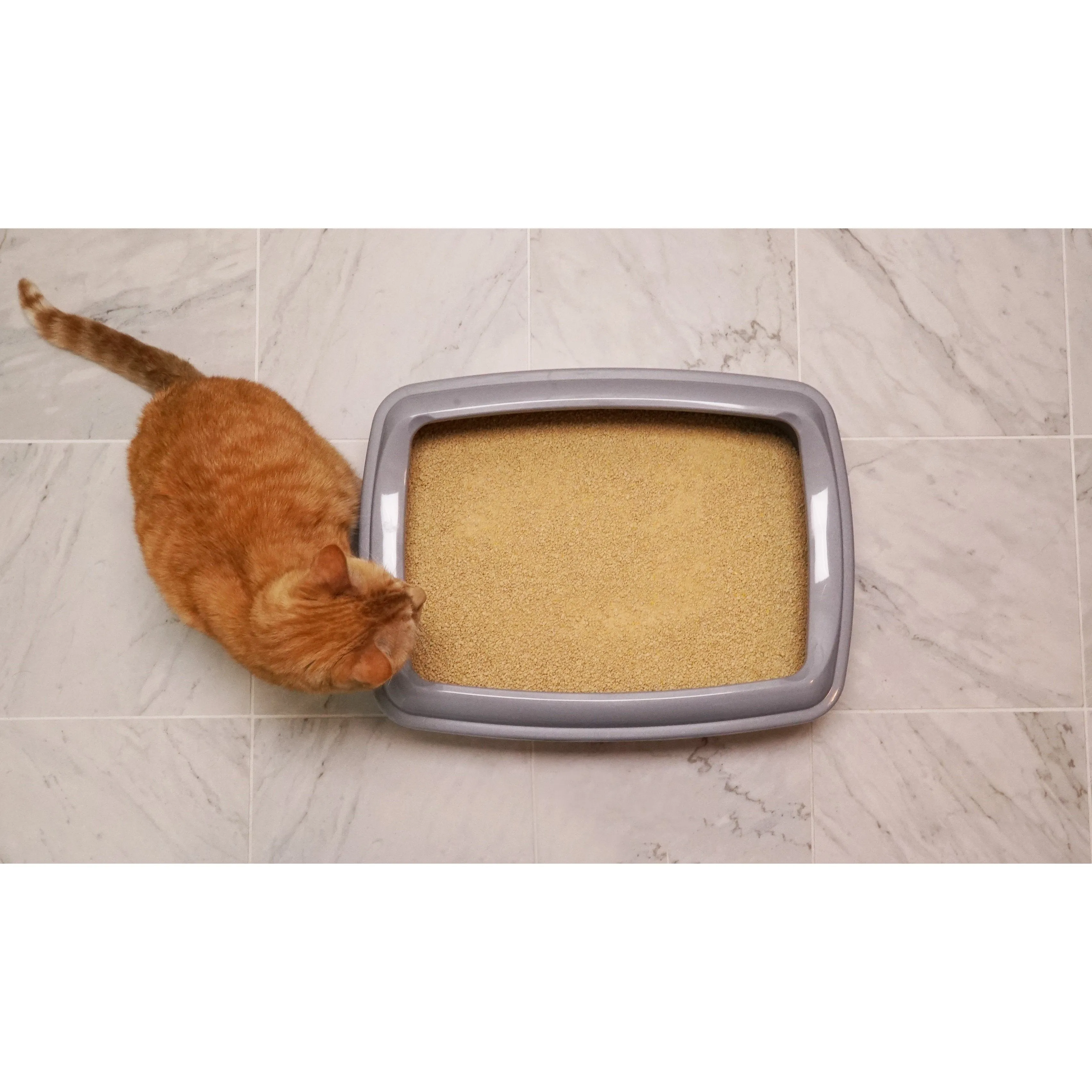 Worlds Best Original Unscented Clumping Cat Litter 6.35kg